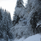 normal_081211wintersfaktivnews003.JPG