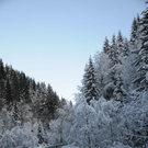 normal_081211wintersfaktivnews006.JPG