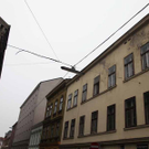 IMG_5992.jpg