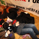 normal_15122011fmt_tierschutzaktion_mw_21.JPG