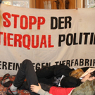 normal_15122011demoffaktivnews_08.jpg
