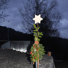 IMG_8867.jpg