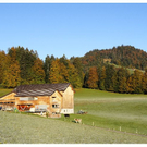 DSC02463.JPG