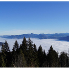 DSC03201.JPG
