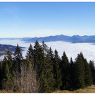 DSC03210.JPG