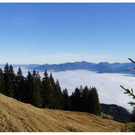 DSC03221.JPG