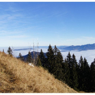 DSC03225.JPG