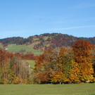 DSC03591.JPG