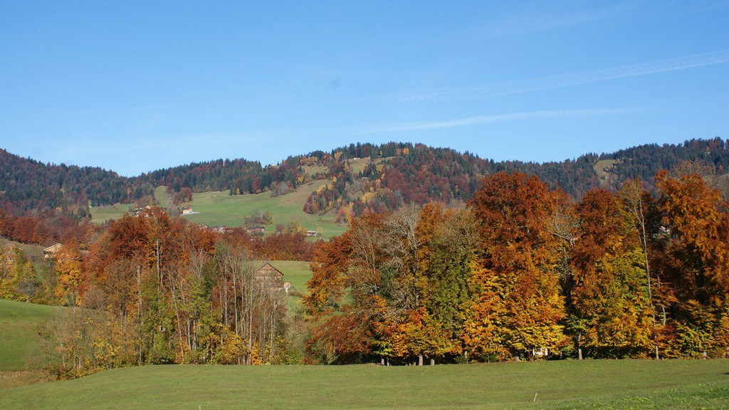 DSC03591.JPG