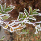 DSC03631.JPG
