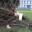 DSC08393_JPG-1324039593