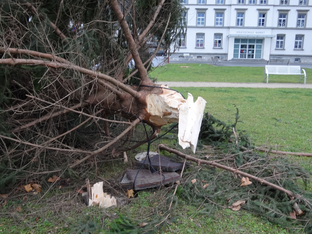 DSC08393_JPG-1324039593