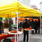 normal_16122011fmt_biomarkt_ta_012.jpg