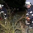 Sturm "Joachim": Schäden in Zwischenwasser