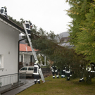 FW Zwischenw_Baum-Haus09_1.JPG