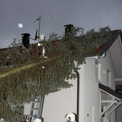 FW Zwischenw_Baum-Haus01_1.JPG