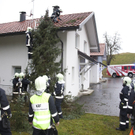 FW Zwischenw_Baum-Haus17_1.JPG