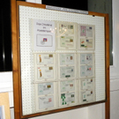 113_4105_JPG-1324078521