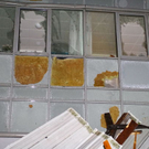 normal_16122011fmt_dachbrg_ta_007.JPG