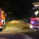 normal_16122011fmt_dachbrg_ta_014.JPG