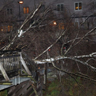 normal_16122011fmt_sturmschaeden_mw_14.JPG