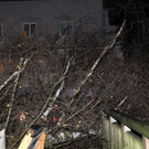 normal_16122011fmt_sturmschaeden_mw_17.JPG