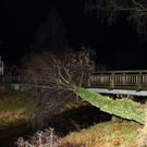 normal_16122011fmt_sturmschaeden_mw_18.JPG