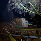 SturmBaum16121103.jpg