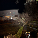 SturmBaum16121104.jpg