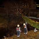 SturmBaum16121105.jpg