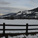 normal_15122011kuhembaktivnews008.JPG