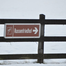 normal_15122011kuhembaktivnews022.JPG