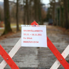 Bäume werden gefällt