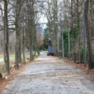 normal_16122011fmt_baumfaellung_mw_04.JPG