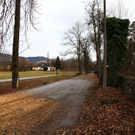 normal_16122011fmt_baumfaellung_mw_09.JPG