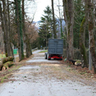 normal_16122011fmt_baumfaellung_mw_10.JPG