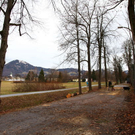normal_16122011fmt_baumfaellung_mw_13.JPG
