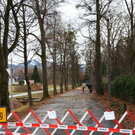 normal_16122011fmt_baumfaellung_mw_14.JPG