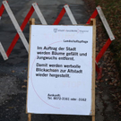 normal_16122011fmt_baumfaellung_mw_15.JPG