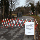 normal_16122011fmt_baumfaellung_mw_17.JPG