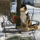 Leserreporter-Schneebilder