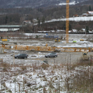 normal_17120211kranffaktivnews_003.jpg