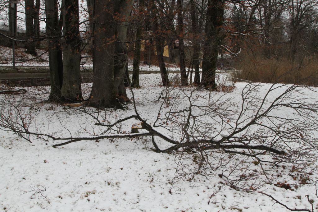 normal_17120211kranffaktivnews_015.jpg