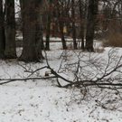 normal_17120211kranffaktivnews_015.jpg