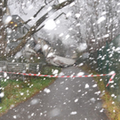 normal_17122011sturmnpaktivnews _10_.jpg