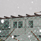 normal_17122011sturmnpaktivnews _2_.jpg
