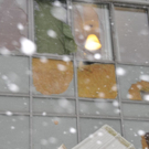 normal_17122011sturmnpaktivnews _5_.jpg