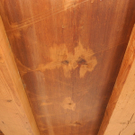 DSCN6861_JPG-1324198706