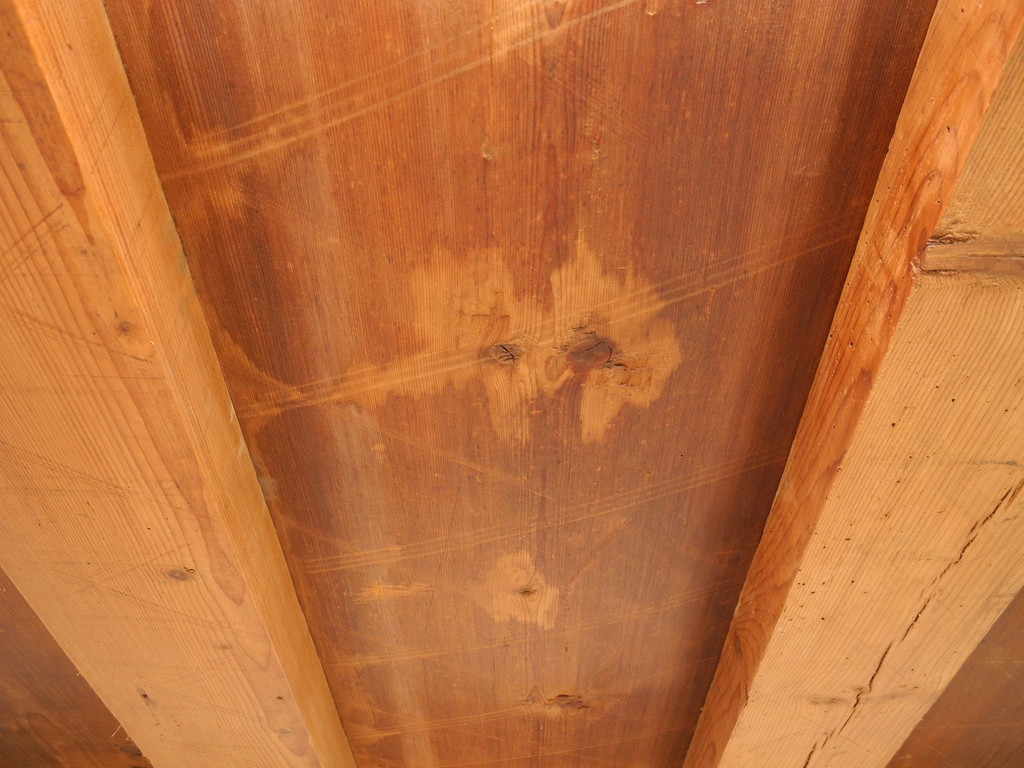 DSCN6861_JPG-1324198706