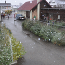 DSC_0182_JPG-1324204688